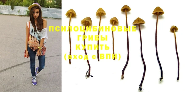гидропоника Алексеевка