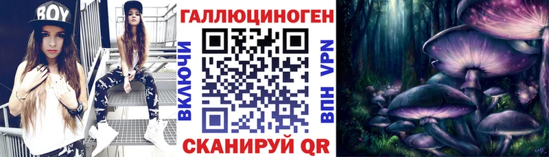 купить наркотики цена  Покров  мега онион  Галлюциногенные грибы мицелий 